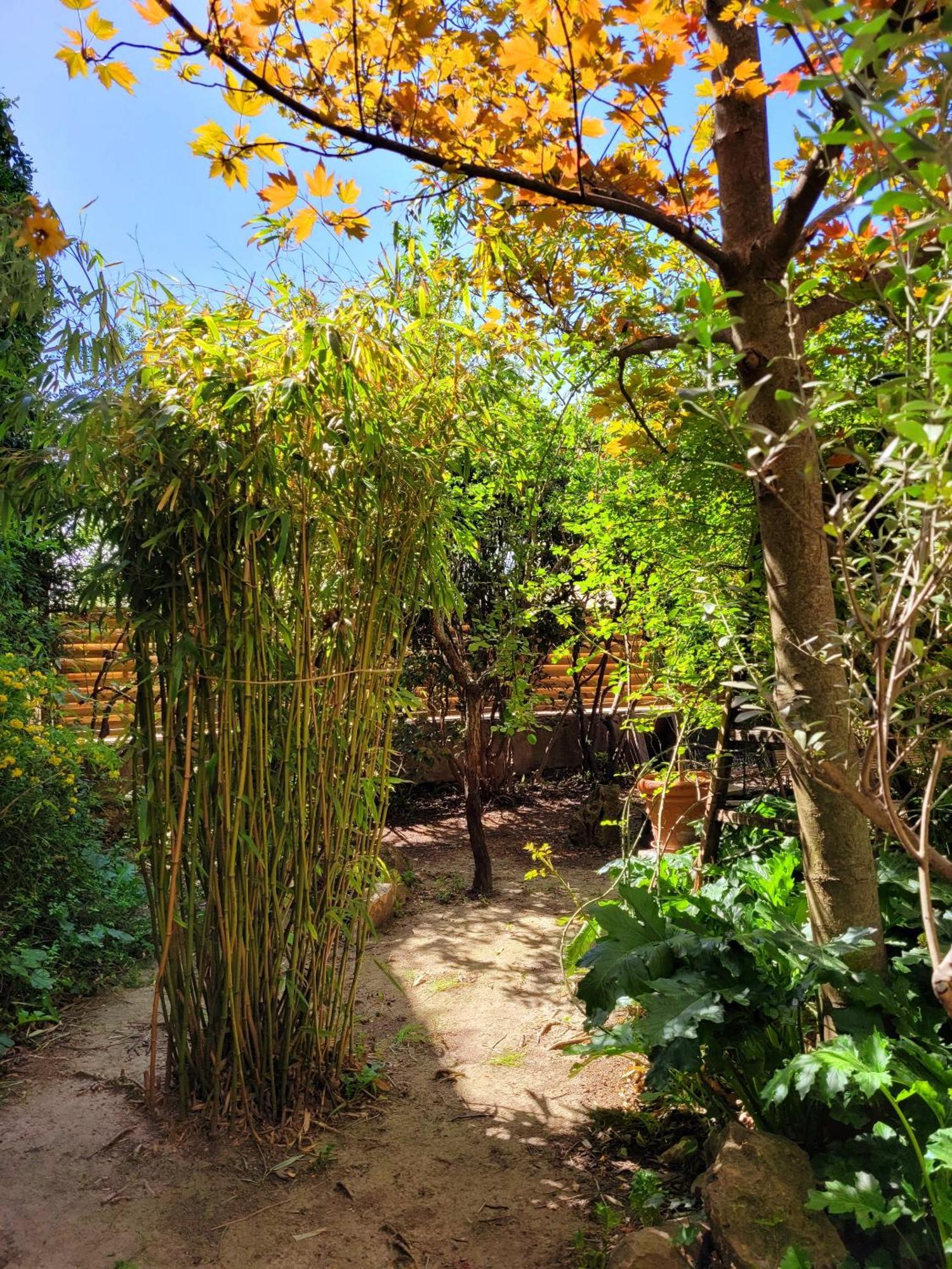 מלון Tavernes Au Puits De La Fontaine מראה חיצוני תמונה